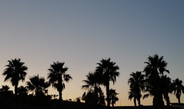 Lo sviluppo della Sicilia passa dalla sostenibilità